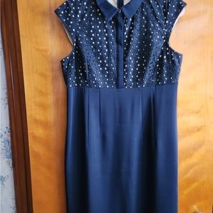 ANN TAYLOR PETITE DRESS